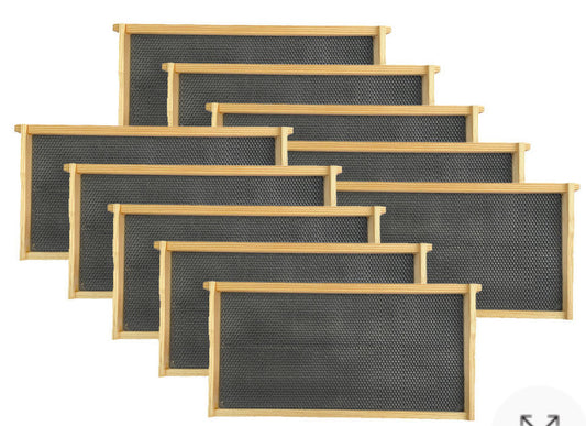 9 1/8" Assembled Frames with Waxed Rite-Cell Foundation, 10 Pack